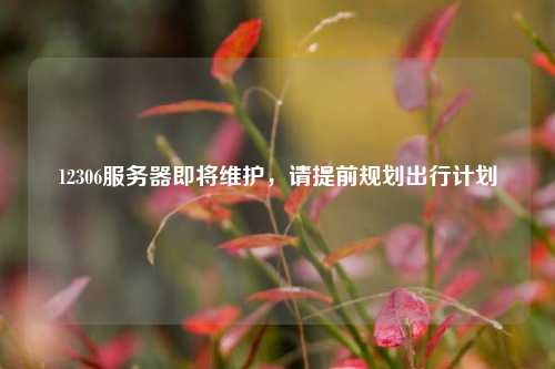 12306服務(wù)器即將維護(hù)，請(qǐng)?zhí)崆耙?guī)劃出行計(jì)劃