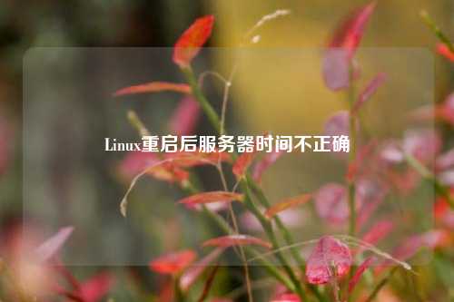 Linux重啟后服務(wù)器時(shí)間不正確