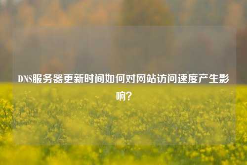 DNS服務(wù)器更新時(shí)間如何對(duì)網(wǎng)站訪問(wèn)速度產(chǎn)生影響？