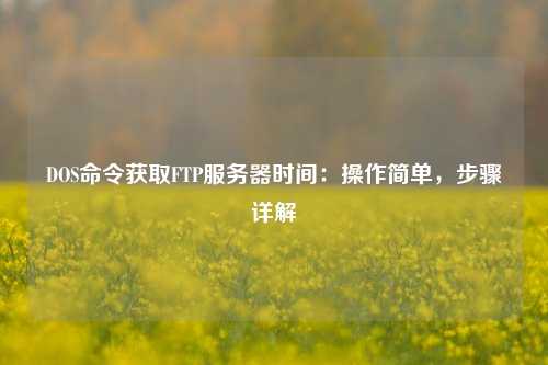 DOS命令獲取FTP服務器時間：操作簡單，步驟詳解