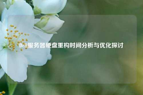 Dell服務器硬盤重構時間分析與優(yōu)化探討