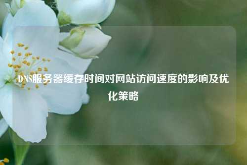 DNS服務(wù)器緩存時間對網(wǎng)站訪問速度的影響及優(yōu)化策略