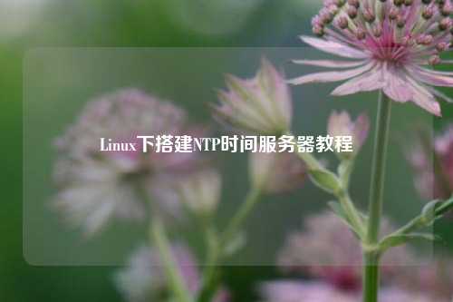 Linux下搭建NTP時間服務器教程