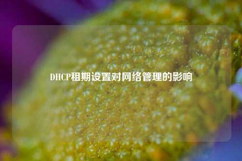 DHCP租期設置對網絡管理的影響