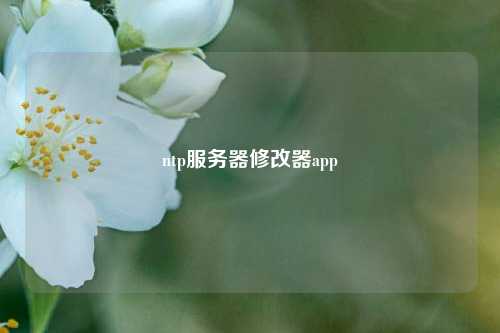 ntp服務(wù)器修改器app