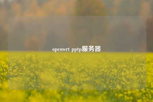 openwrt pptp服務(wù)器