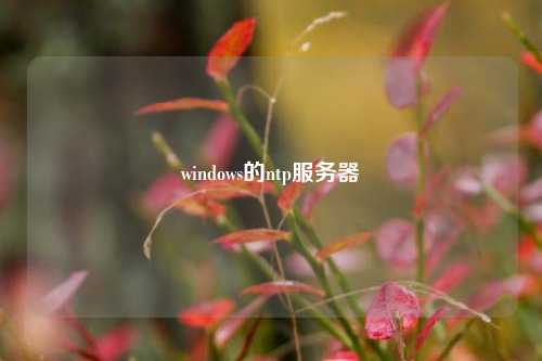 windows的ntp服務器