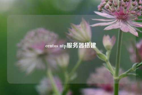 centos ntp服務(wù)器搭建